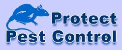 Pest Control Kent